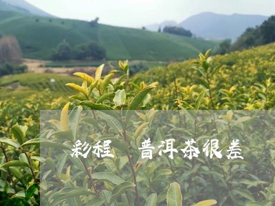 彩程 普洱茶很差/2023041218372